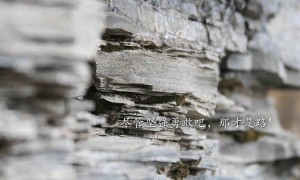 岳普湖縣2025年中央義務(wù)教育薄弱環(huán)節(jié)改善與能力提升補(bǔ)助項(xiàng)目的終止公告