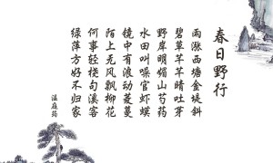軟床的價格區間有哪些？不同預算如何選擇合適的軟床？